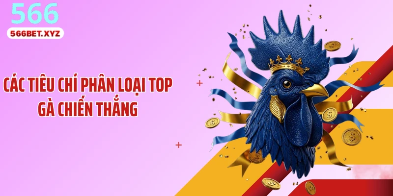 Các tiêu chí phân loại top gà chiến thắng