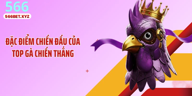 Đặc điểm chiến đấu của top gà chiến thắng