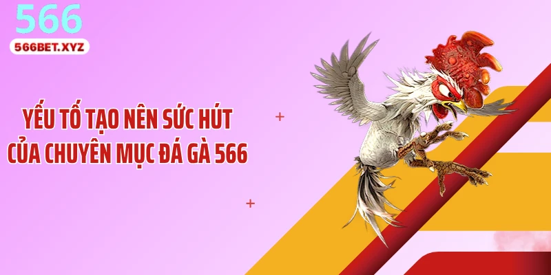 Yếu tố tạo nên sức hút của chuyên mục đá gà 566
